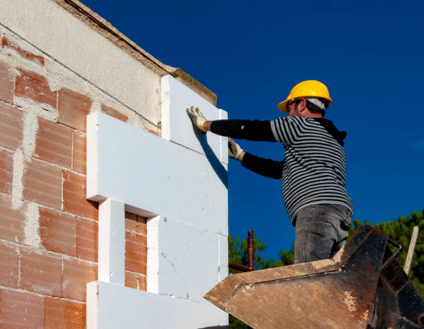Best Insulation Installation Services in Level Plains, AL