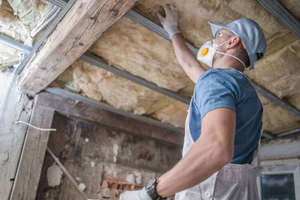 Best Insulation Materials and Products in Level Plains, AL